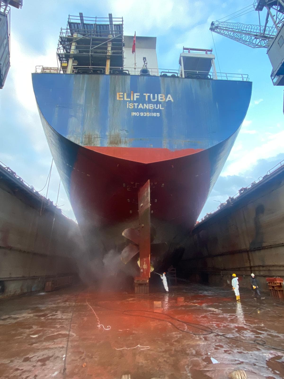 Barnacles: The Hidden Drag on Fuel, Speed & Cooling Water